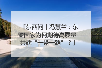 东西问丨冯慧兰：东盟国家为何期待高质量共建“一带一路”？