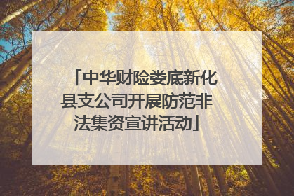 中华财险娄底新化县支公司开展防范非法集资宣讲活动