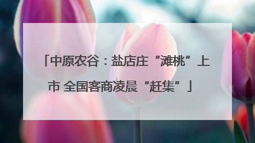 中原农谷：盐店庄“滩桃”上市 全国客商凌晨“赶集”