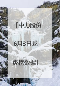 中力股份6月3日龙虎榜数据