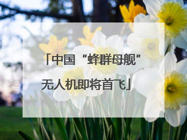 中国“蜂群母舰”无人机即将首飞