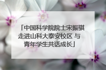 中国科学院院士宋振骐走进山科大泰安校区 与青年学生共话成长
