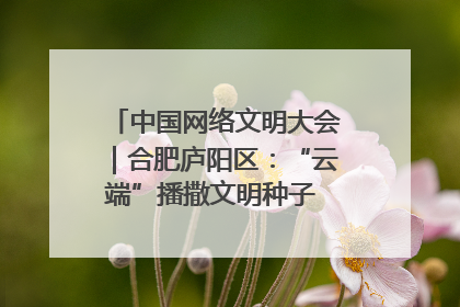 中国网络文明大会｜合肥庐阳区：“云端”播撒文明种子 共建清朗网络空间