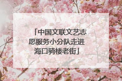 中国文联文艺志愿服务小分队走进海口骑楼老街