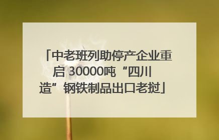 中老班列助停产企业重启 30000吨“四川造”钢铁制品出口老挝