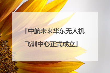 中航未来华东无人机飞训中心正式成立