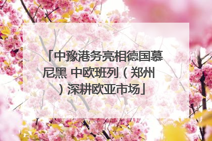 中豫港务亮相德国慕尼黑 中欧班列（郑州）深耕欧亚市场