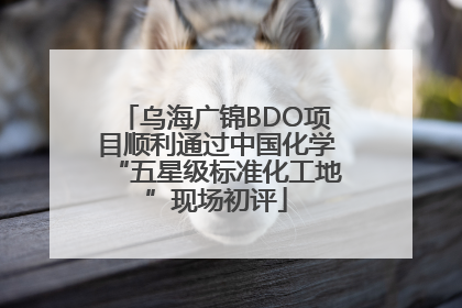 乌海广锦BDO项目顺利通过中国化学“五星级标准化工地”现场初评