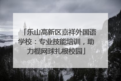 乐山高新区嘉祥外国语学校：专业技能培训，助力棍网球扎根校园