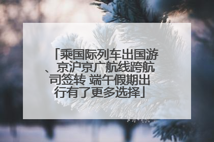 乘国际列车出国游、京沪京广航线跨航司签转 端午假期出行有了更多选择