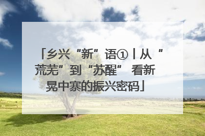 乡兴“新”语①丨从“荒芜”到“苏醒” 看新晃中寨的振兴密码