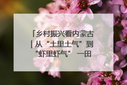 乡村振兴看内蒙古｜从“土里土气”到“虾里虾气” 一田双收模式火出圈