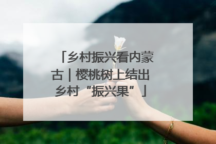 乡村振兴看内蒙古｜樱桃树上结出乡村“振兴果”