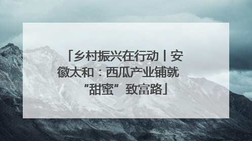乡村振兴在行动丨安徽太和：西瓜产业铺就“甜蜜”致富路