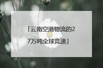 云南空港物流的27万吨全球竞速