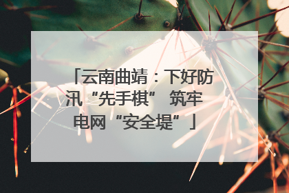 云南曲靖：下好防汛“先手棋” 筑牢电网“安全堤”
