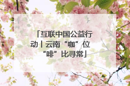 互联中国公益行动丨云南“咖”位“啡”比寻常