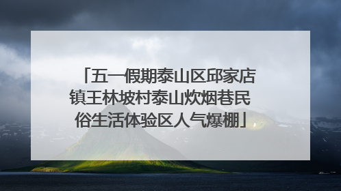 五一假期泰山区邱家店镇王林坡村泰山炊烟巷民俗生活体验区人气爆棚