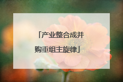 产业整合成并购重组主旋律