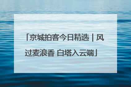 京城拍客今日精选｜风过麦浪香 白塔入云端