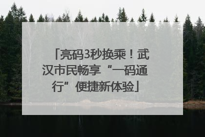 亮码3秒换乘！武汉市民畅享“一码通行”便捷新体验