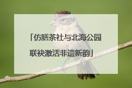 仿膳茶社与北海公园联袂激活非遗新韵