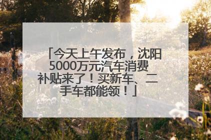 今天上午发布，沈阳5000万元汽车消费补贴来了！买新车、二手车都能领！