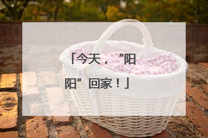 今天，“阳阳”回家！