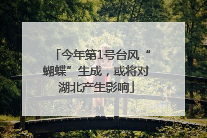 今年第1号台风“蝴蝶”生成，或将对湖北产生影响