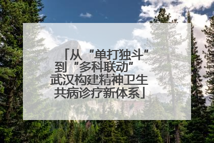 从“单打独斗”到“多科联动” 武汉构建精神卫生共病诊疗新体系