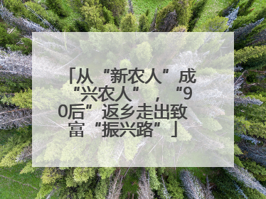 从“新农人”成“兴农人”，“90后”返乡走出致富“振兴路”