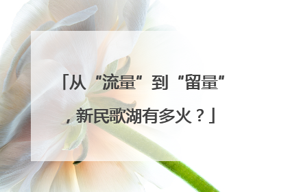 从“流量”到“留量”，新民歌湖有多火？