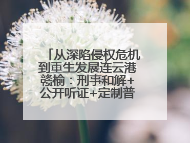 从深陷侵权危机到重生发展连云港赣榆：刑事和解+公开听证+定制普法，让玩具公司回到正轨