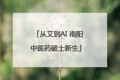 从艾到AI 南阳中医药破土新生