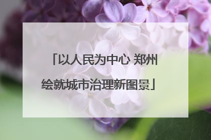 以人民为中心 郑州绘就城市治理新图景