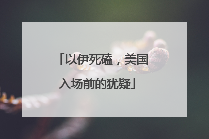 以伊死磕，美国入场前的犹疑
