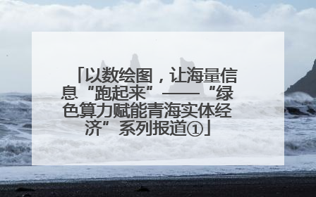 以数绘图，让海量信息“跑起来”——“绿色算力赋能青海实体经济”系列报道①
