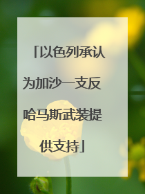 以色列承认为加沙一支反哈马斯武装提供支持