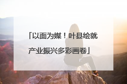 以面为媒！叶县绘就产业振兴多彩画卷