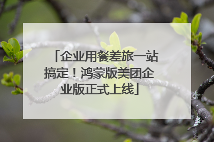 企业用餐差旅一站搞定！鸿蒙版美团企业版正式上线