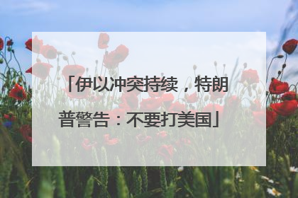 伊以冲突持续，特朗普警告：不要打美国