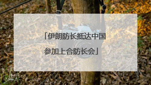 伊朗防长抵达中国参加上合防长会