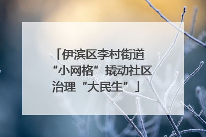 伊滨区李村街道 “小网格”撬动社区治理“大民生”