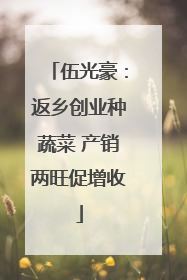 伍光豪：返乡创业种蔬菜 产销两旺促增收