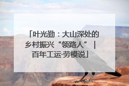 叶光勤：大山深处的乡村振兴“领路人”｜百年工运·劳模说