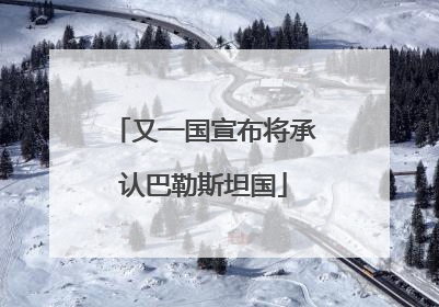 又一国宣布将承认巴勒斯坦国