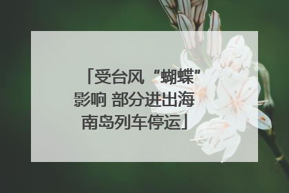 受台风“蝴蝶”影响 部分进出海南岛列车停运
