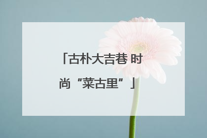 古朴大吉巷 时尚“菜古里”