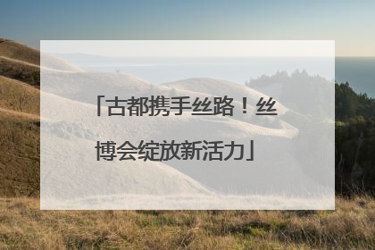 古都携手丝路！丝博会绽放新活力