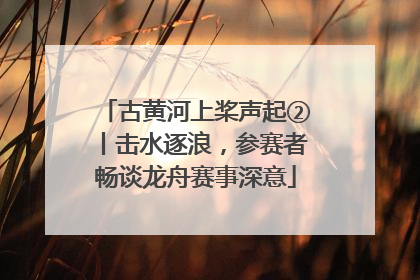 古黄河上桨声起②丨击水逐浪，参赛者畅谈龙舟赛事深意
